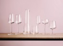 Набор бокалов для шампанского Essence