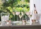 Набор бокалов для белого вина Wine